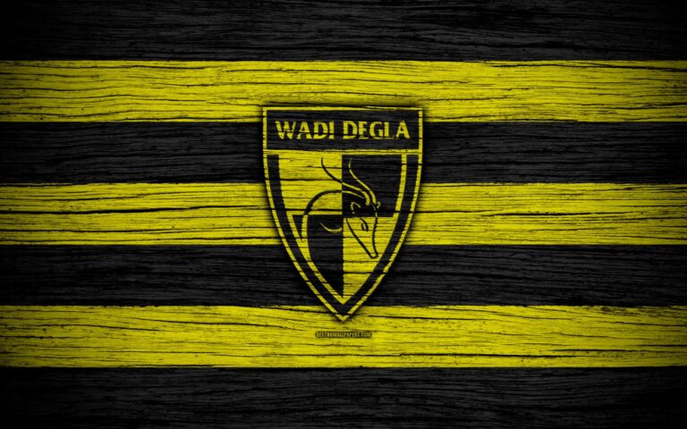 Wadi Degla FC